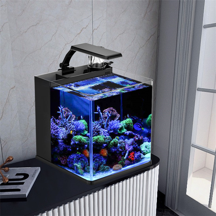 Marine Aquarium In Clearwater - skynuo Mini Aquário Marinho de Água