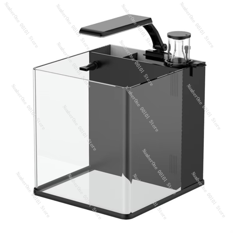 Marine Aquarium In Clearwater - Aquário Marinho Mini de Vidro Ultra