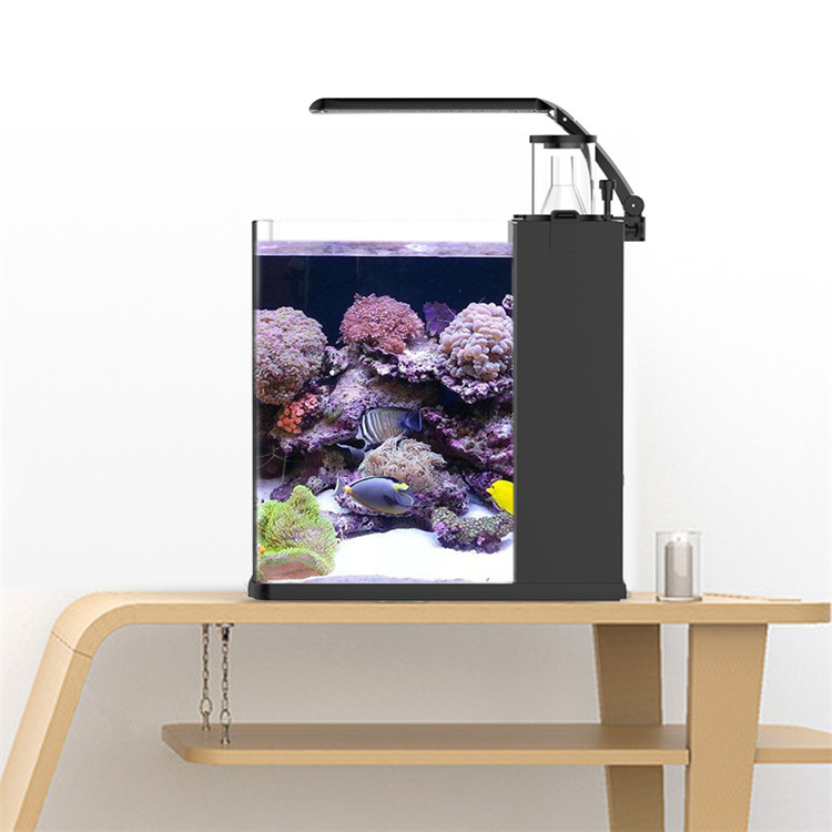 skynuo Mini Aquário Marinho de - Marine Aquarium In Clearwater avaliação e preço