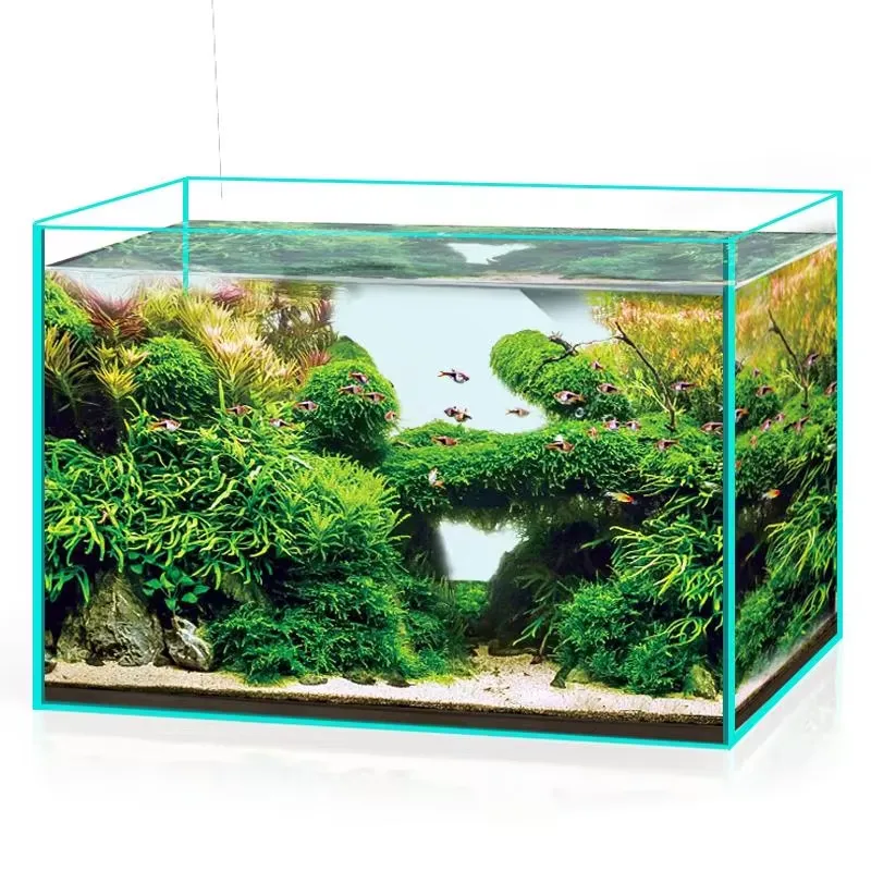 Aquário de Vidro Ultra Claro p - Marine Aquarium In Clearwater avaliação e preço