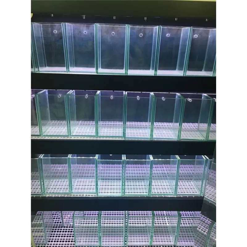 Aquário de Vidro Ultra Claro p - Marine Aquarium In Clearwater avaliação e preço