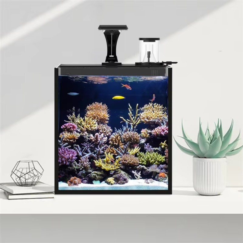 Aquário Marinho Mini de Vidro  - Marine Aquarium In Clearwater avaliação e preço