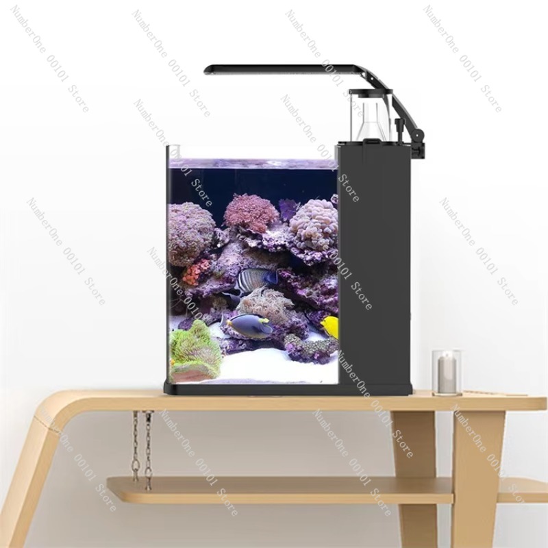 Aquário Marinho Mini de Vidro  - Marine Aquarium In Clearwater avaliação e preço