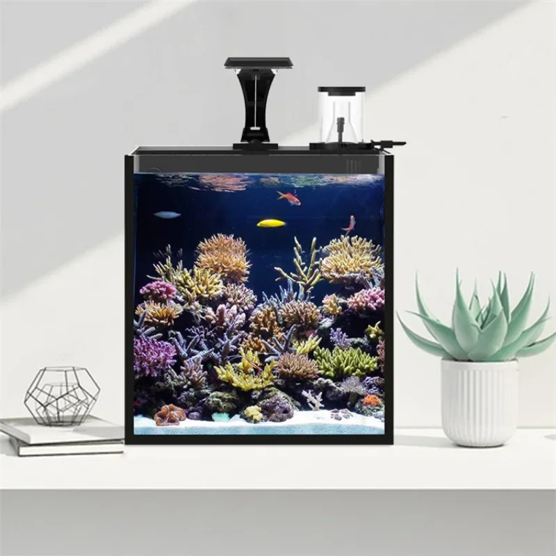Venda Quente Aquário Mini de Á - Marine Aquarium In Clearwater avaliação e preço