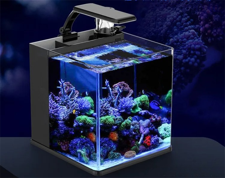 Aquário Marinho Mini de Vidro  - Marine Aquarium In Clearwater avaliação e preço