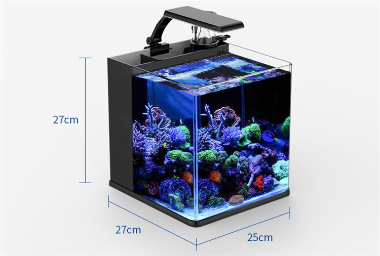 Aquário Marinho Mini de Vidro  - Marine Aquarium In Clearwater avaliação e preço