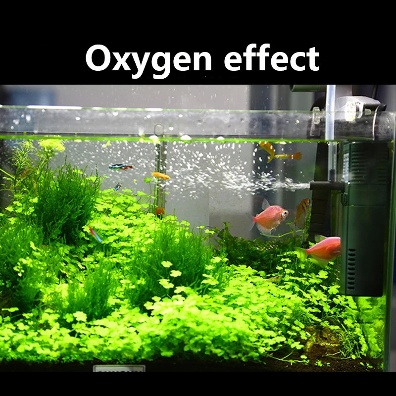 Sunsun-Mini Nano bomba interna - Marine Aquarium Hardscape avaliação e preço